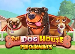 southerncrossgalleries: The Dog House Megaways
